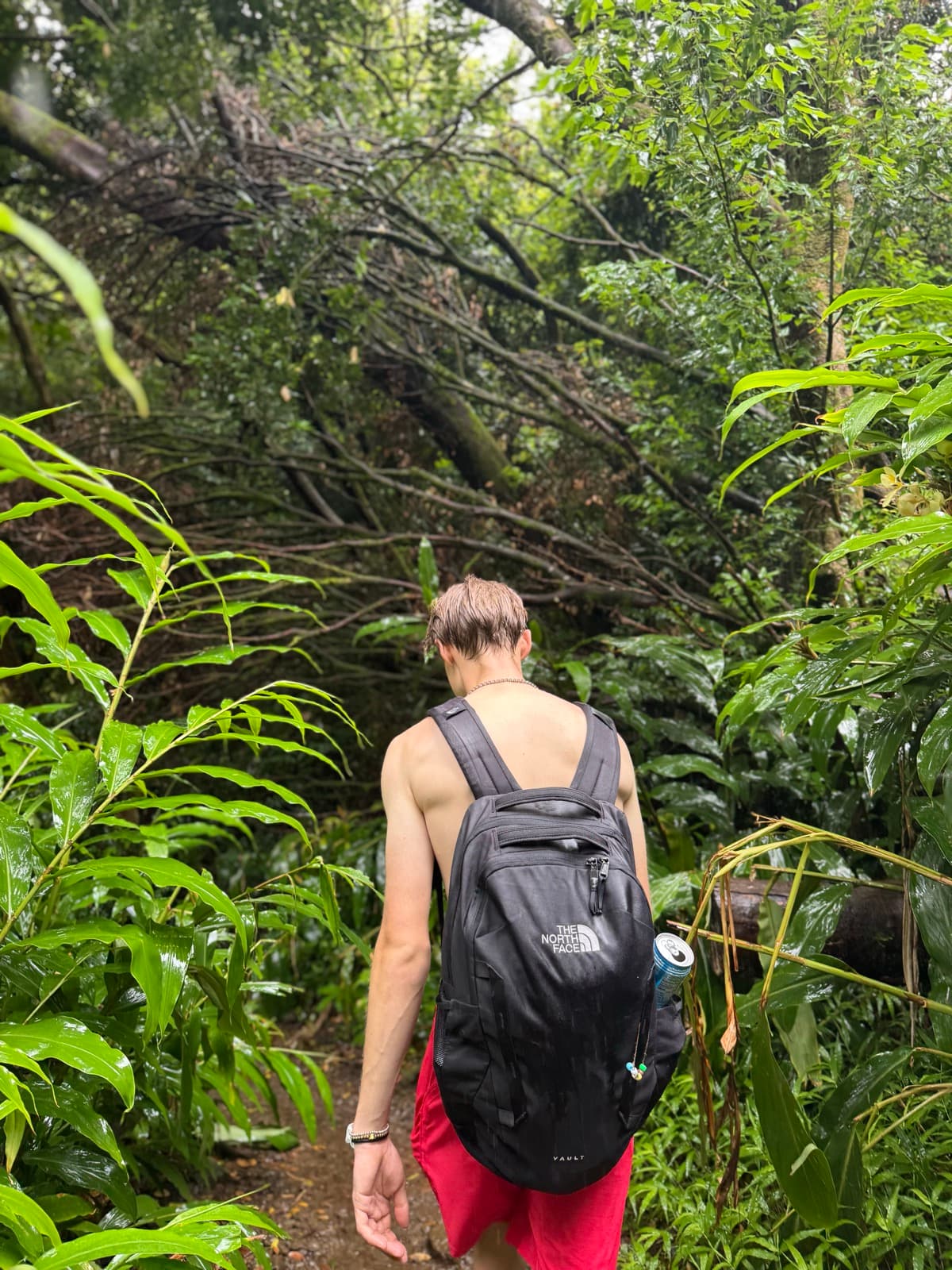Hiking in Oahu