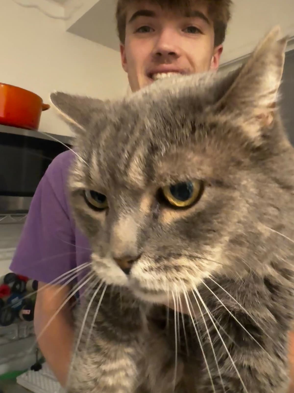 My Cat Buddy